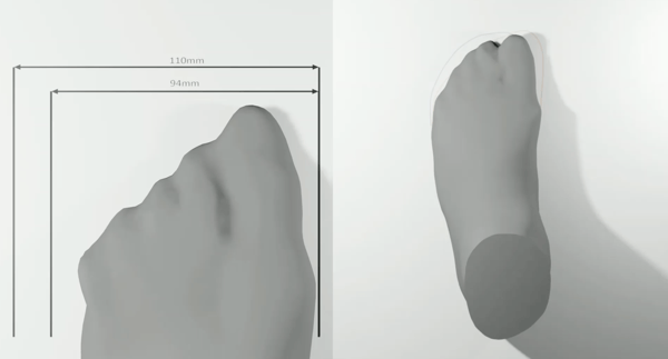 Foot variations from Volumental data